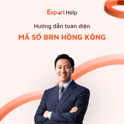 Hướng dẫn mã số BRN cho công ty Hồng Kông dễ hiểu