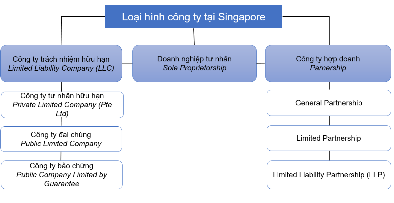 loai hinh cong ty tai singapore